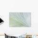 White Organza Fabric Texture