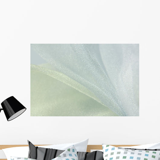 White Organza Fabric Texture