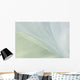 White Organza Fabric Texture