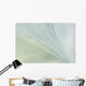 White Organza Fabric Texture
