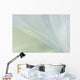 White Organza Fabric Texture