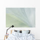 White Organza Fabric Texture