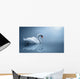 Swan