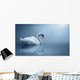 Swan
