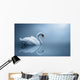 Swan