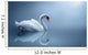 Swan