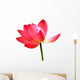 Lotus Flower Wall Decal