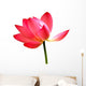Lotus Flower Wall Decal