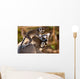 Cute Ring-tailed Lemurs Wall Mural