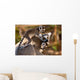 Cute Ring-tailed Lemurs Wall Mural