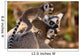 Cute Ring-tailed Lemurs Wall Mural