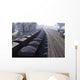 train cars Wall Mural