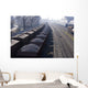 train cars Wall Mural