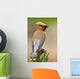 Cedar Waxwing Wall Mural