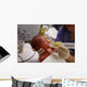 Newborn Feeding