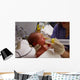 Newborn Feeding