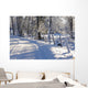 Winter Landscape Wall Mural