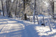 Winter Landscape Wall Mural