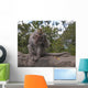 Scratch Itch Wall Mural