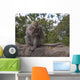 Scratch Itch Wall Mural