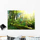 Rain forest Wall Mural