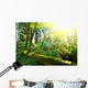 Rain forest Wall Mural