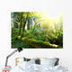 Rain forest Wall Mural