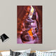 Canyon Antelope Wall Mural
