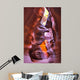 Canyon Antelope Wall Mural