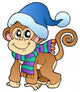 Cute Monkey Winter Clothes