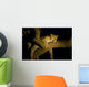 Leopard Resting Treebrench Night Wall Mural