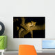 Leopard Resting Treebrench Night Wall Mural