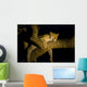 Leopard Resting Treebrench Night Wall Mural