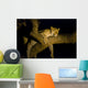 Leopard Resting Treebrench Night Wall Mural