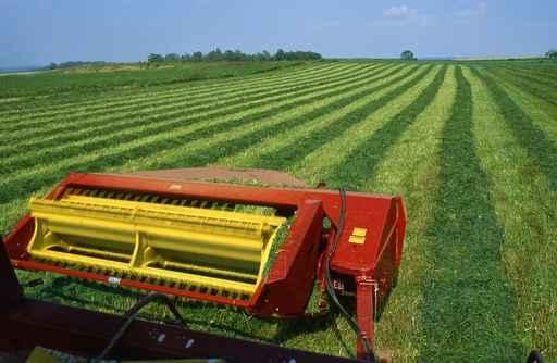 Cutting Hay Field Wall Decal