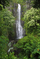 Wailua Falls (Maui, Hawaii) Wall Mural