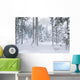 Winterwald Wall Mural