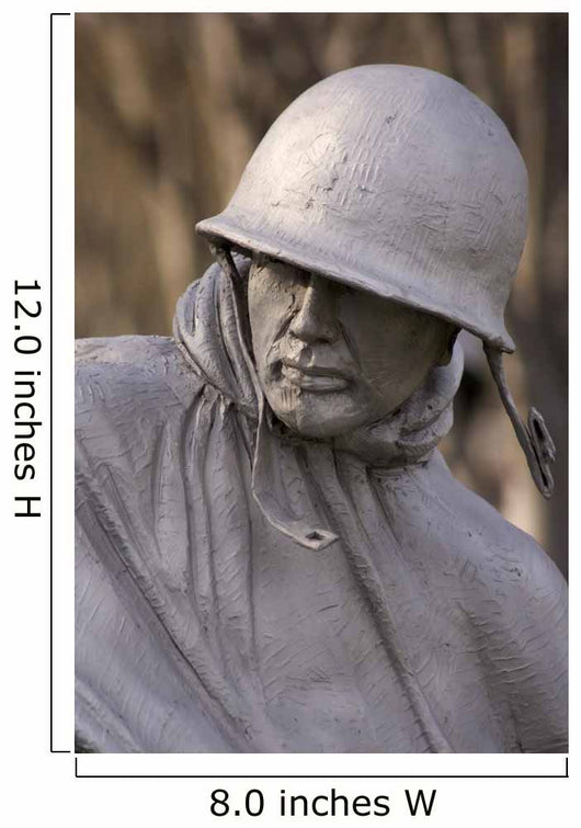 korean war soldier Wall Mural