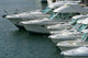 power boat lineup Wall Mural