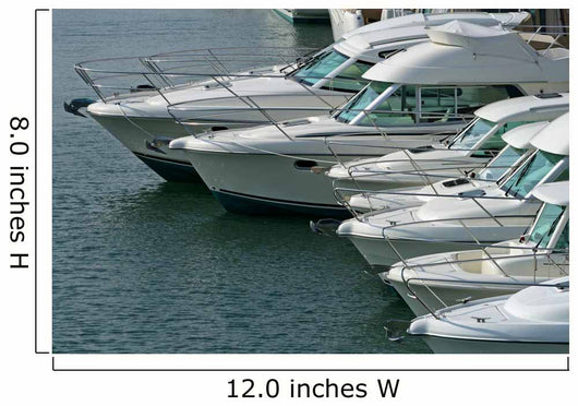power boat lineup Wall Mural