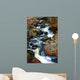 Fall Stream Wall Mural