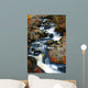 Fall Stream Wall Mural