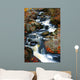 Fall Stream Wall Mural