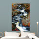 Fall Stream Wall Mural