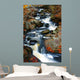 Fall Stream Wall Mural