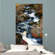 Fall Stream Wall Mural