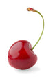 Sweet cherry Wall Decal