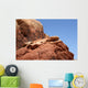 Red Rock Canyon Nevada Wall Mural