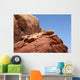 Red Rock Canyon Nevada Wall Mural