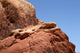 Red Rock Canyon Nevada Wall Mural